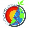 LOGO IES